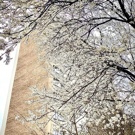 Mieszkanie 2 Pok 2 Min Do Morza Sopot